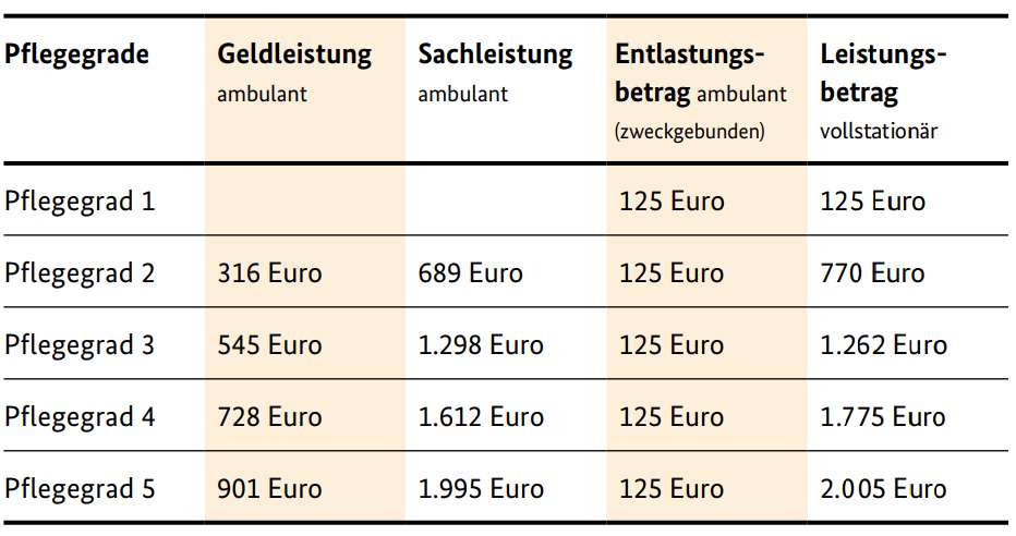 Pflegeleistungen ab 2017